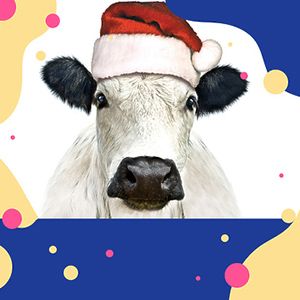 Новый год 2021. Как встречать Белого Быка?